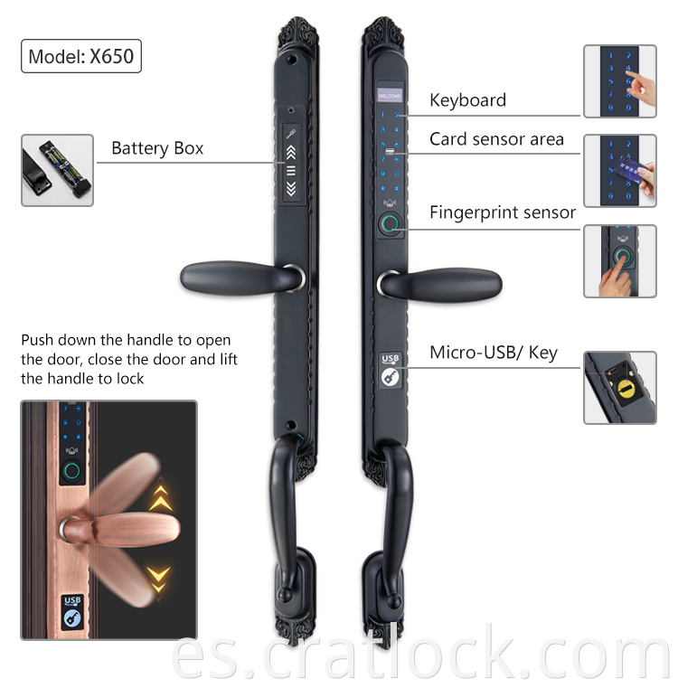 Electronic Fingerprint Door Lock Details